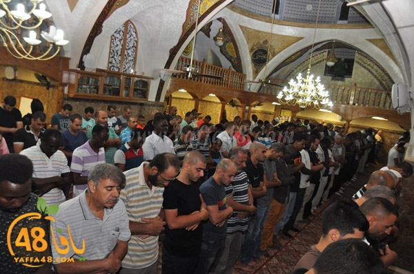 kaber yaffa js (9).JPG